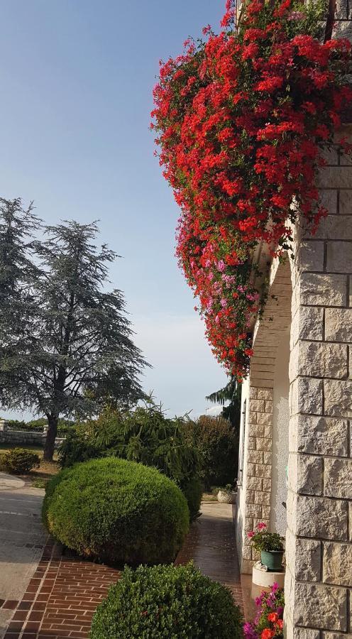 Holiday Apartment Villa Bianca Pazin Exterior photo